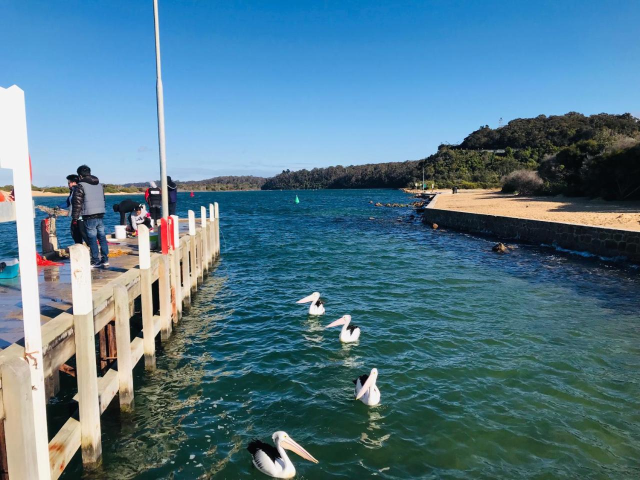 Black Swan Motor Inn Lakes Entrance Zewnętrze zdjęcie